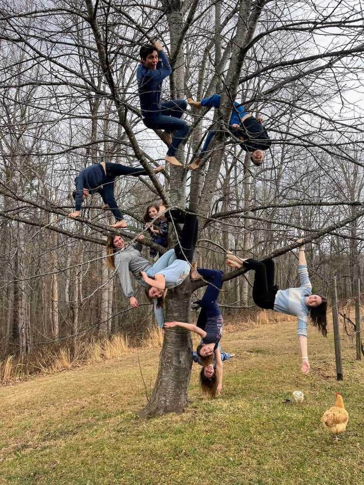 9 kids hanging from a tree