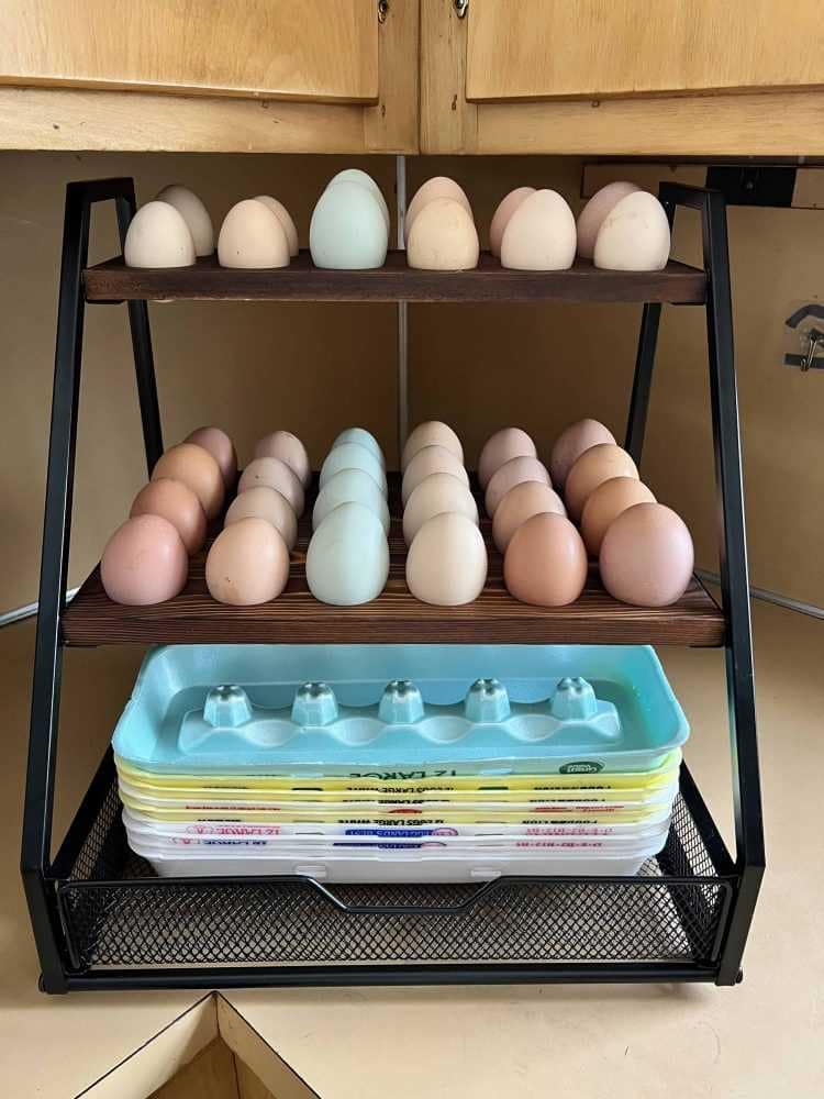3 dozen colorful eggs