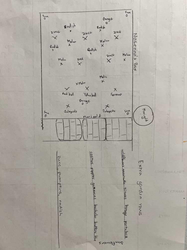 garden plans