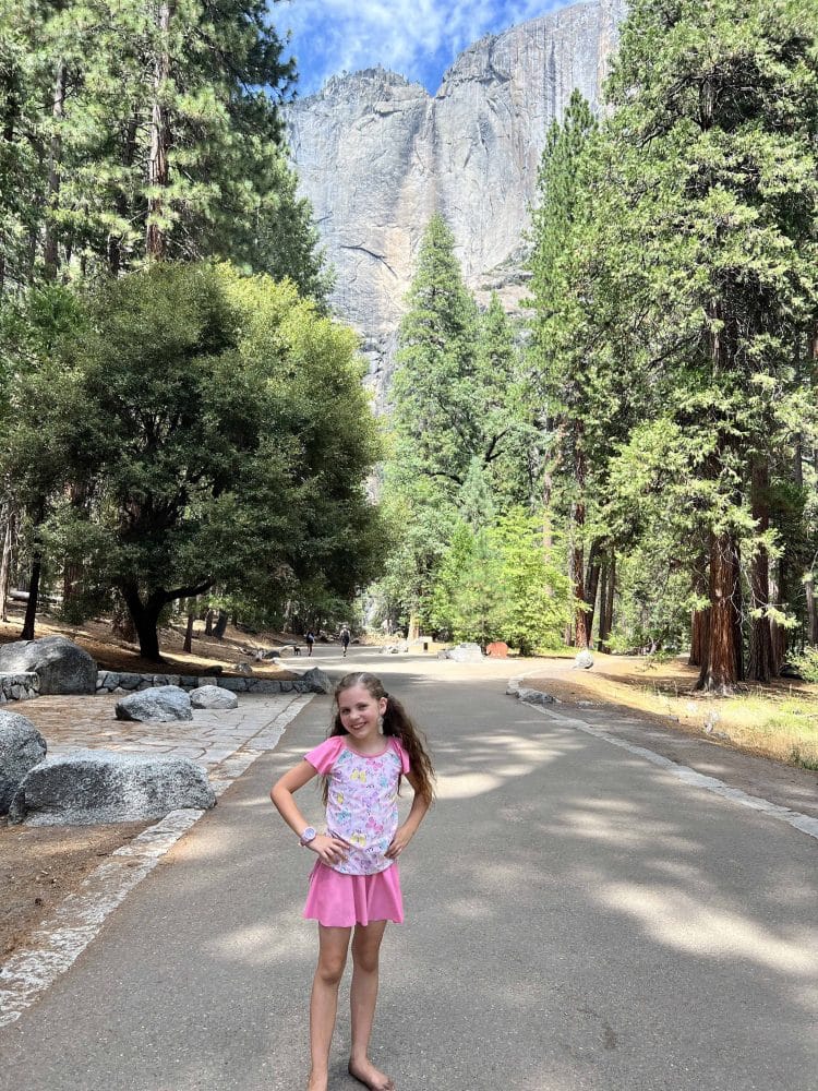 dry Yosemite falls