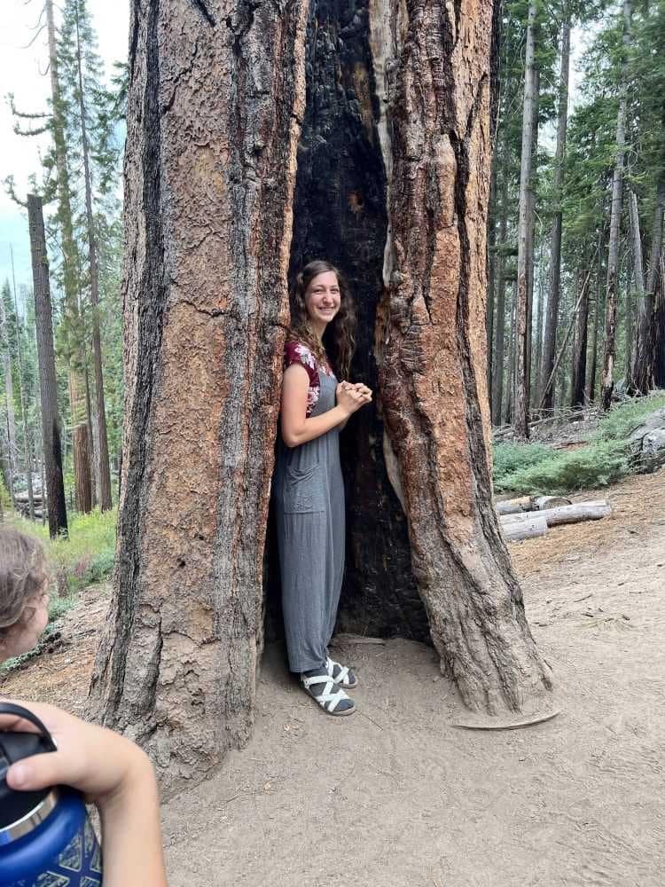 girl inside huge tree