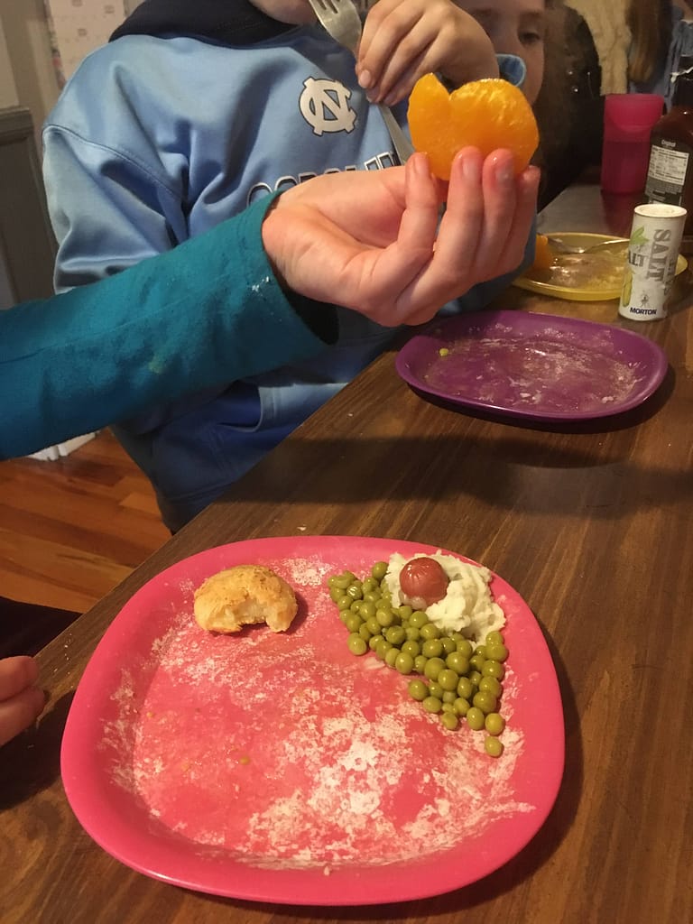 a hotdog groundhog dinner with no shadow