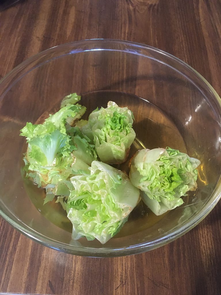 bowl of water with 4 lettuce cores in it ready for planting.