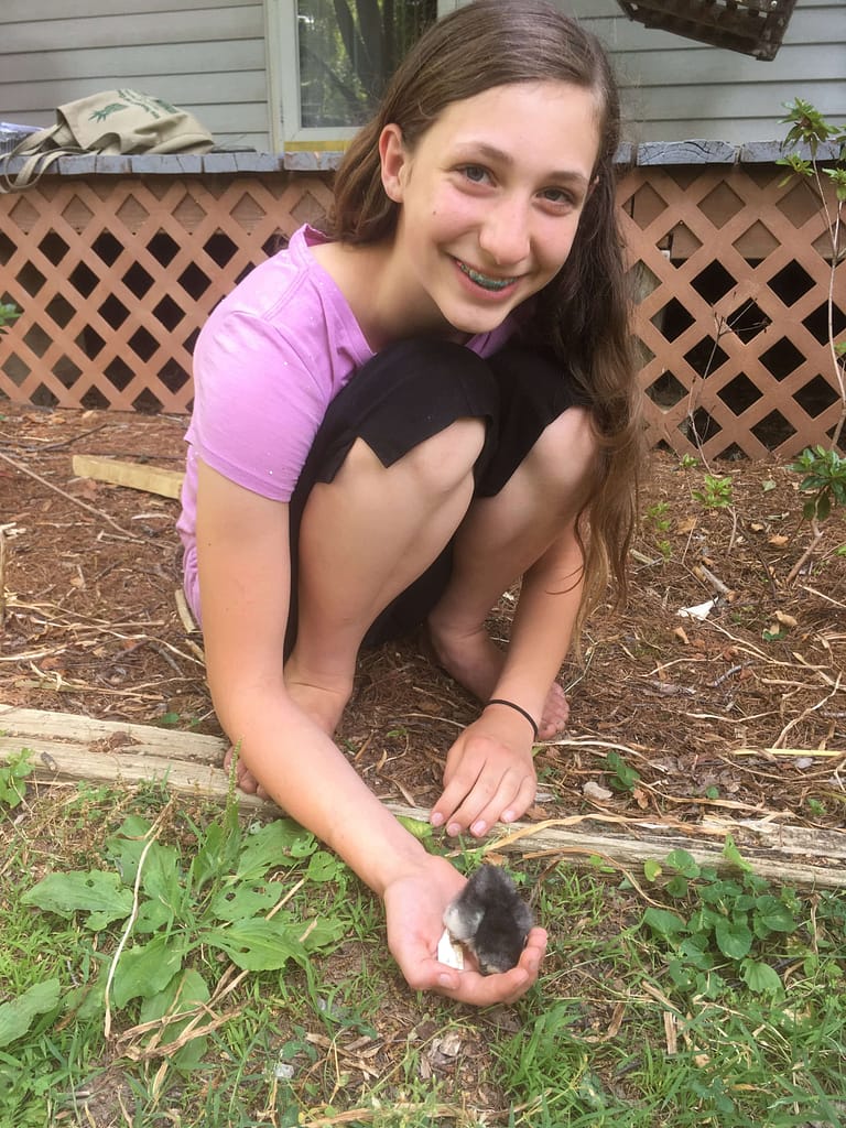 13 year old playing with a new chick