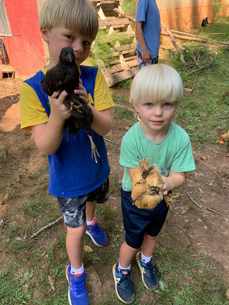 two little boys holding chickens