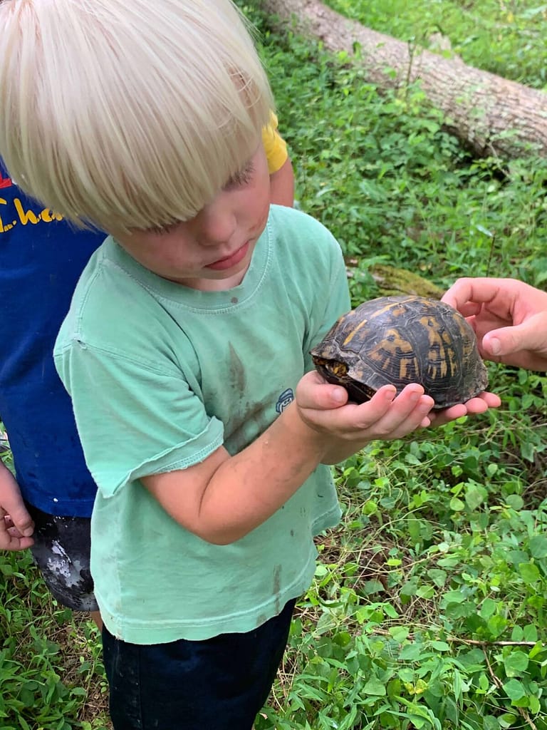 little blond boy holding a turtle carefully