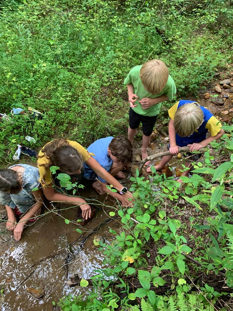 kids searching for crawdads in the creek