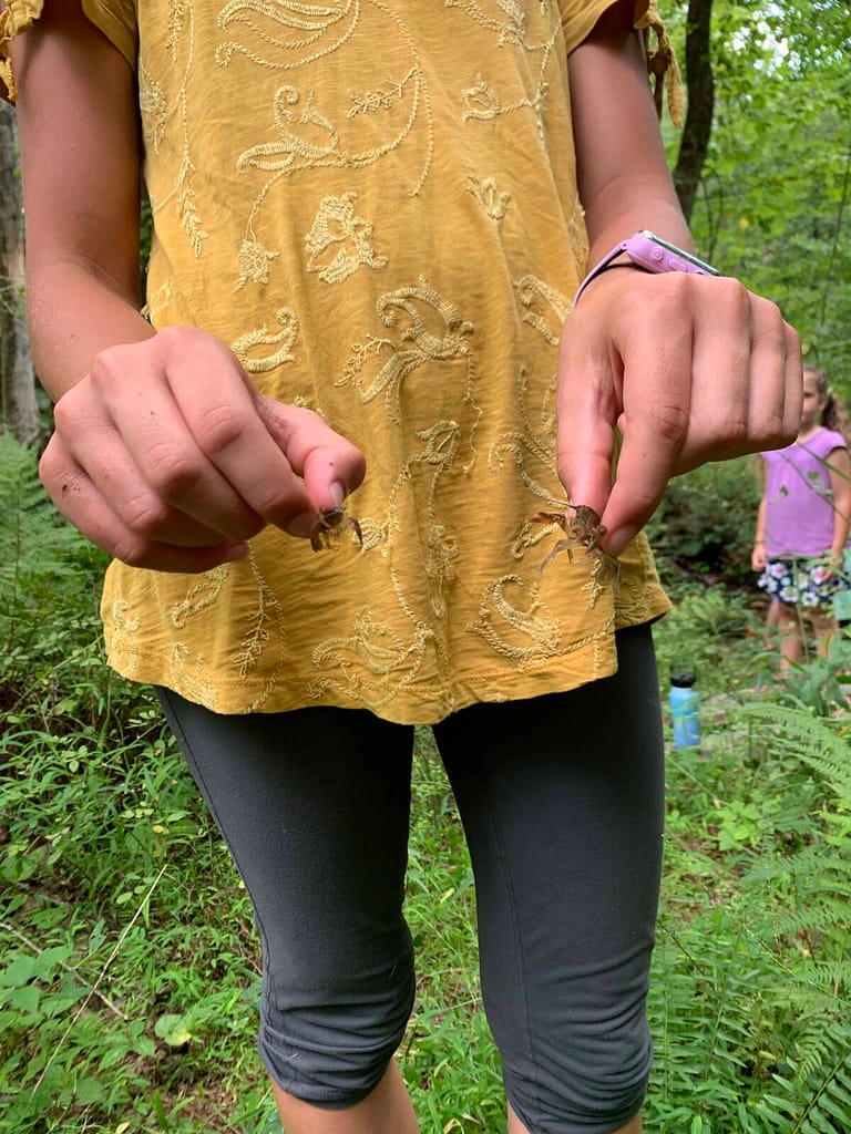 girl with 2 crawdads she caught