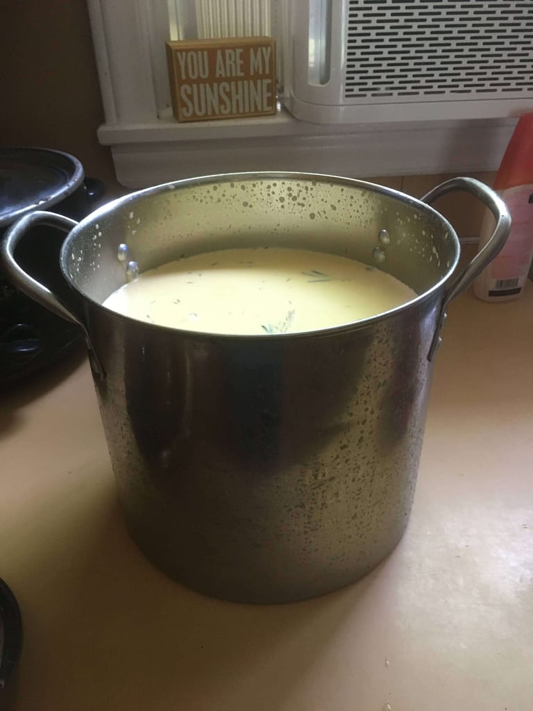 stainless steel pot of raw milk just milked from a cow