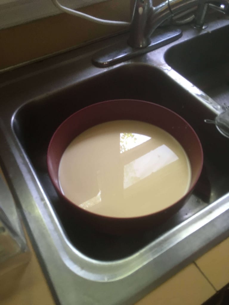 bowl of raw milk sitting in the sink