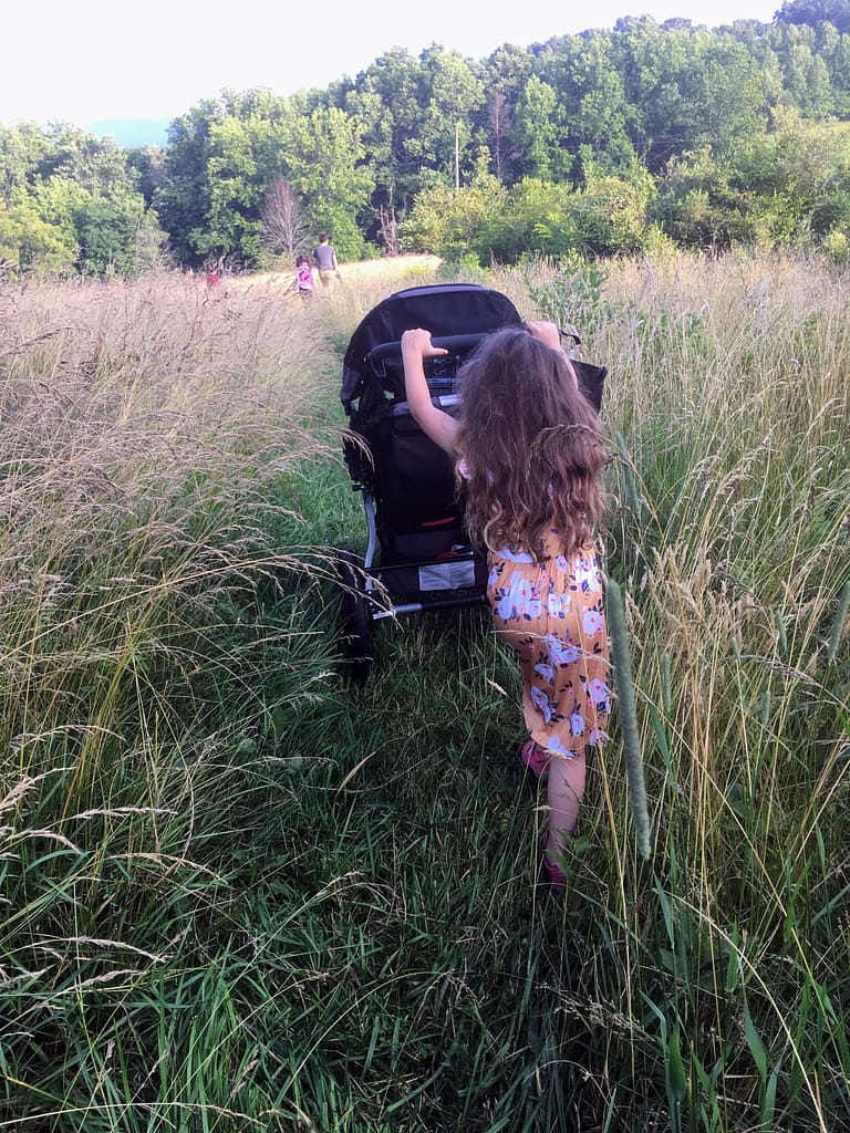5 year old pushing a stroller through a tall field