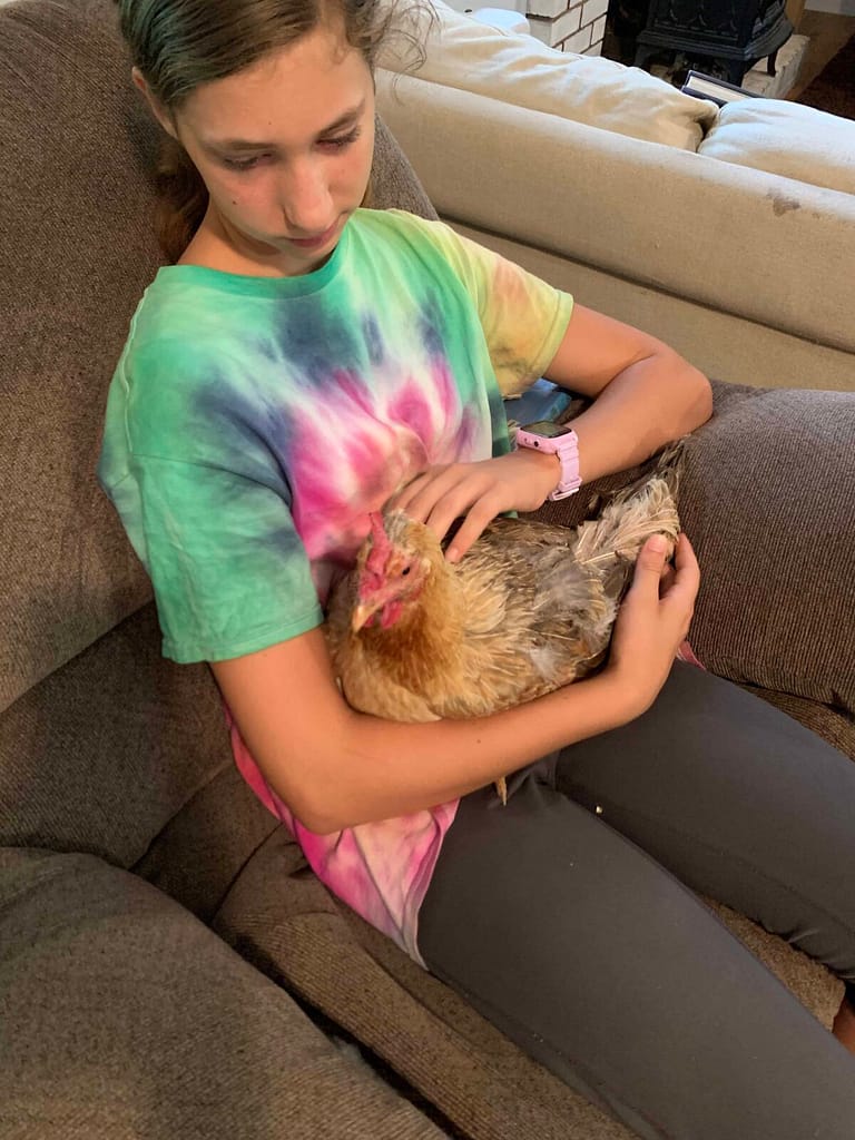 a teen girl holds a hurt chicken she rescued from a dog attack
