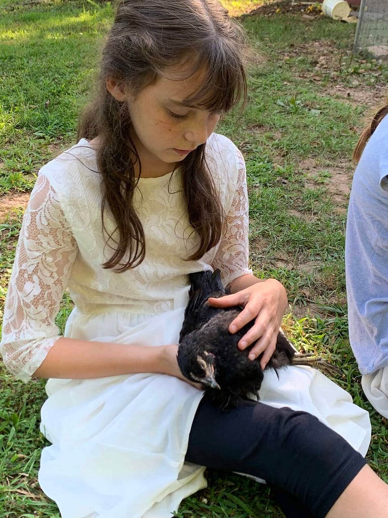 11 year old crying over a dead pet chicken