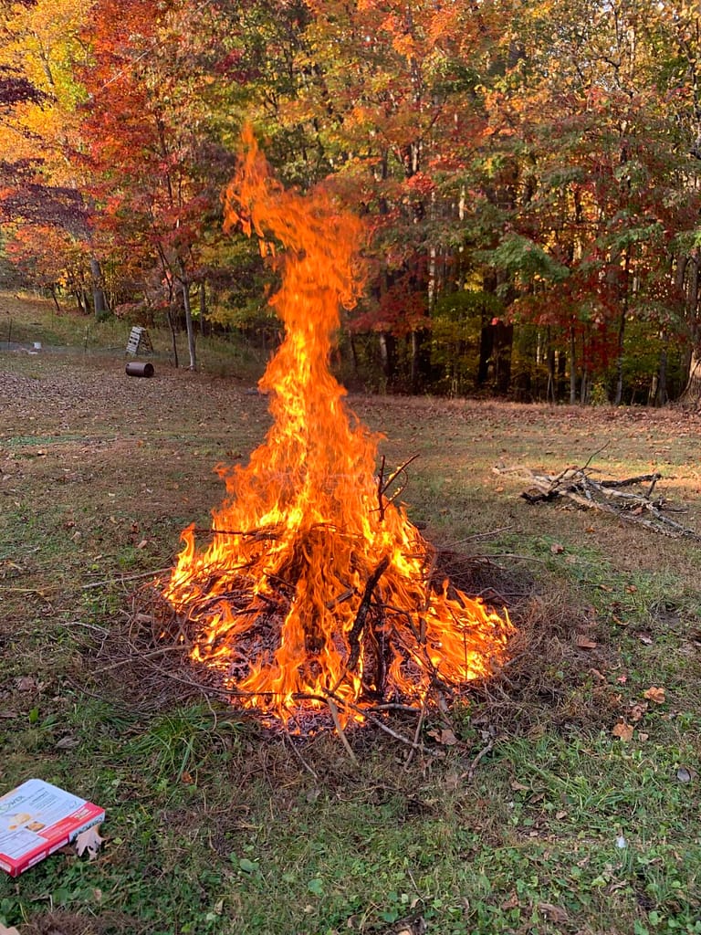 bonfire