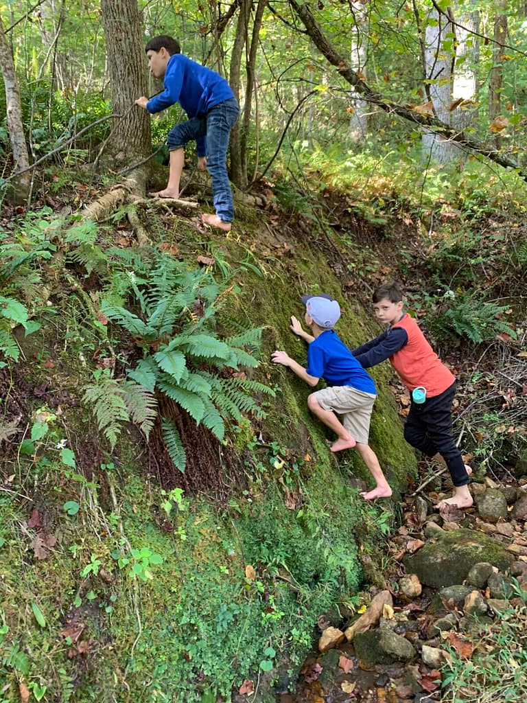 boys climbing a steep bank out of a creek