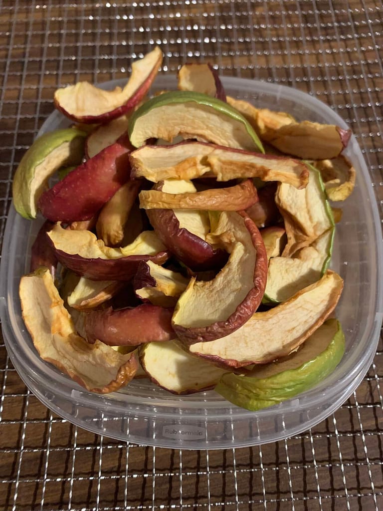 container of homemade dried apples