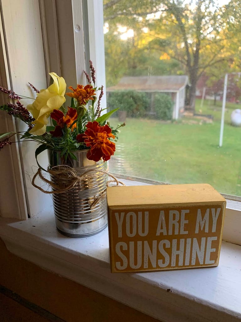 wildflowers in a vase in the windowsill
