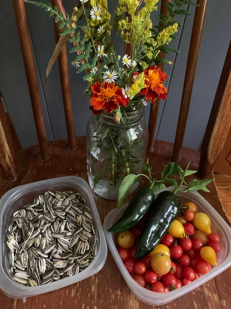 things that were picked: sunflower seeds, peppers and tomatoes, and wildflowers