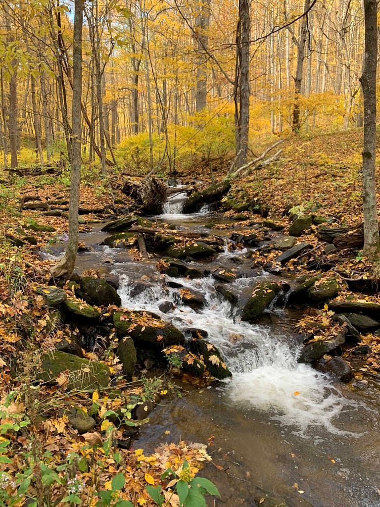 beautiful creek in rock castle gorge on the blue ridge parkway