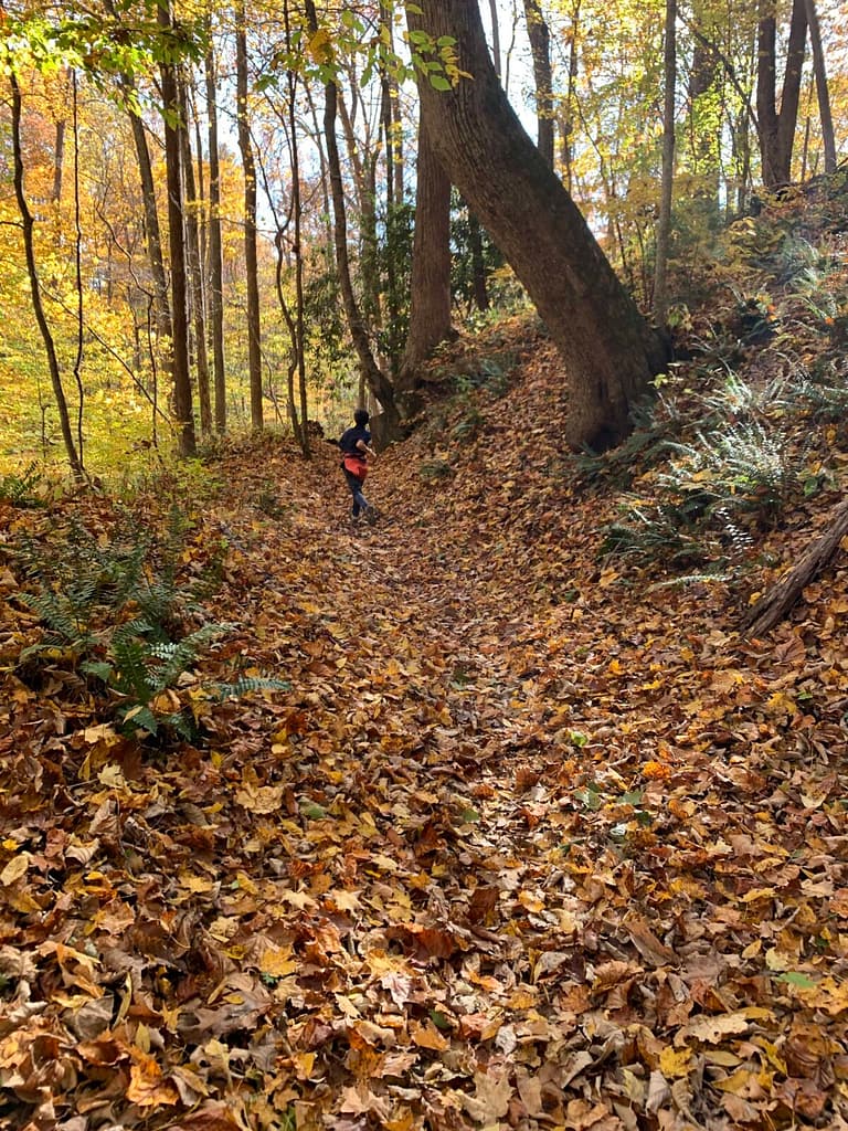 boy hiking in rock castle gorge