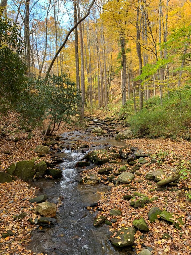 beautiful creek in rock castle gorge off the blue ridge parkway