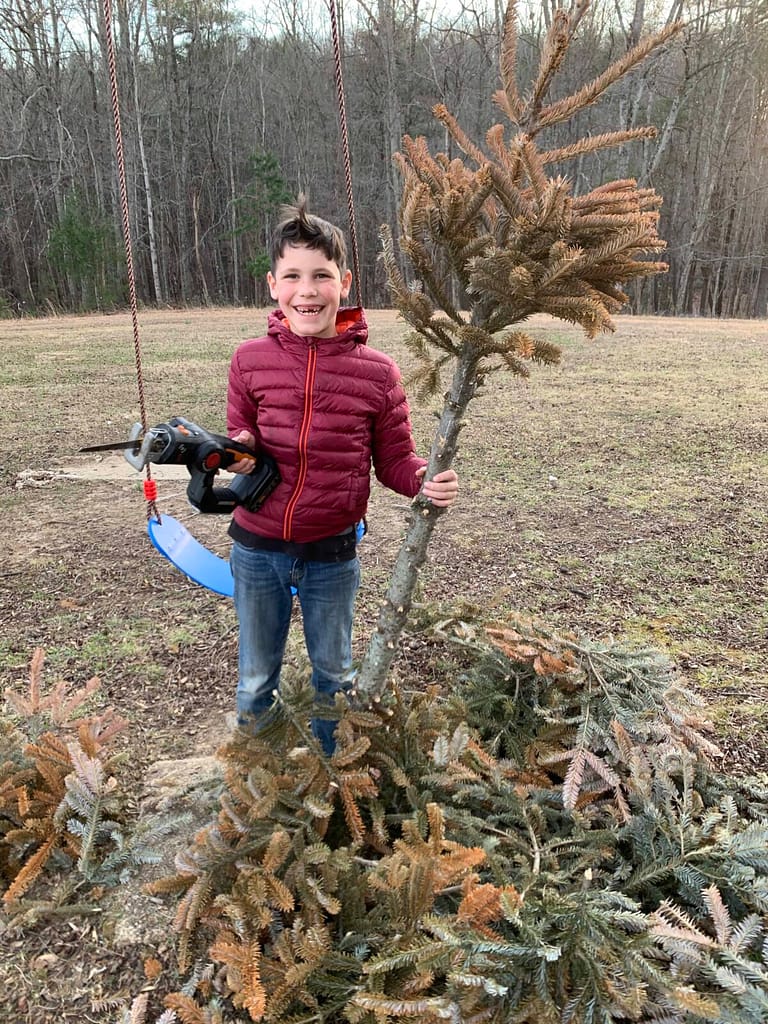 8 year old cutting up old Christmas tree for firewood