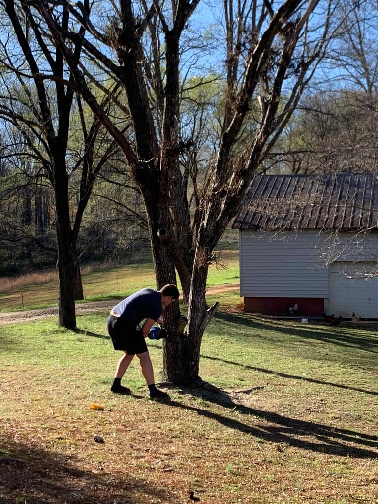 young man cutting down a tree with a chainsaw