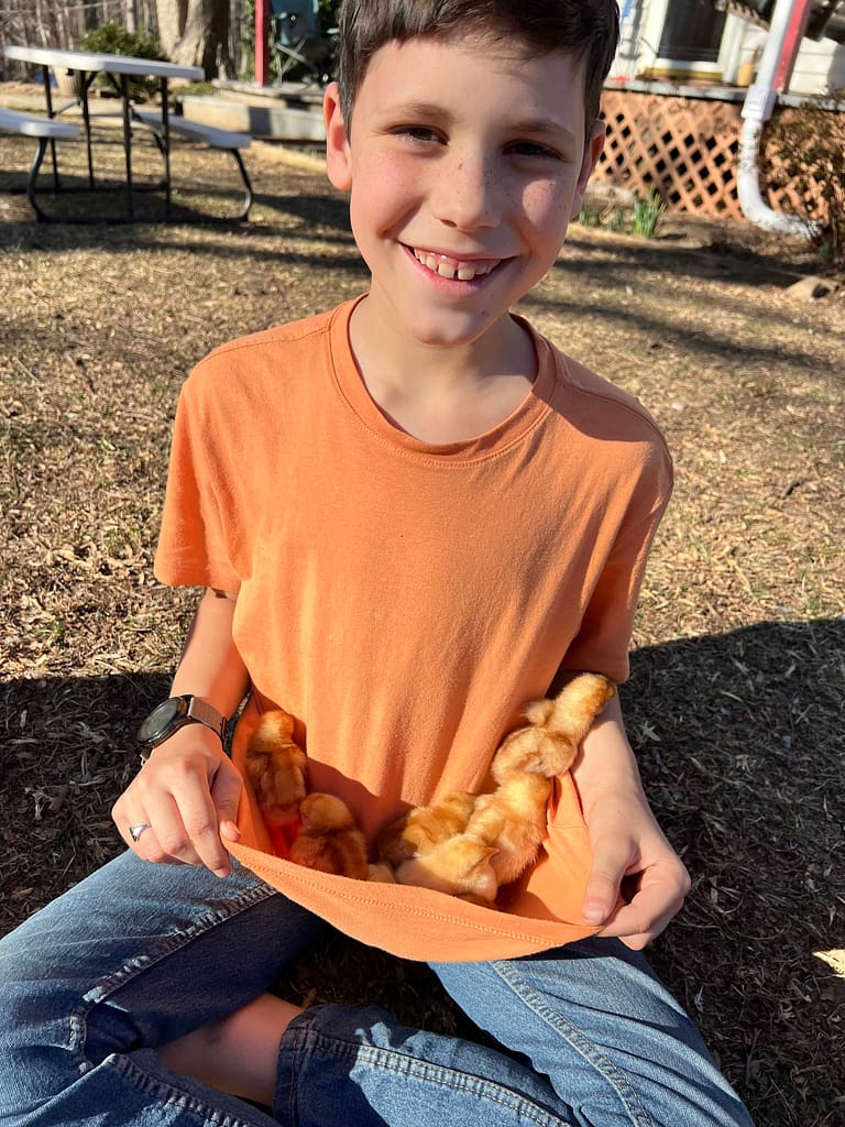 boy holding chicks in his shirt