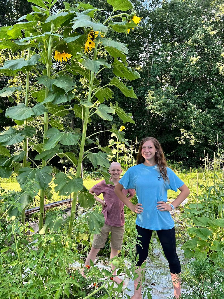 brother and sister stand next to a 12' tall sunflower