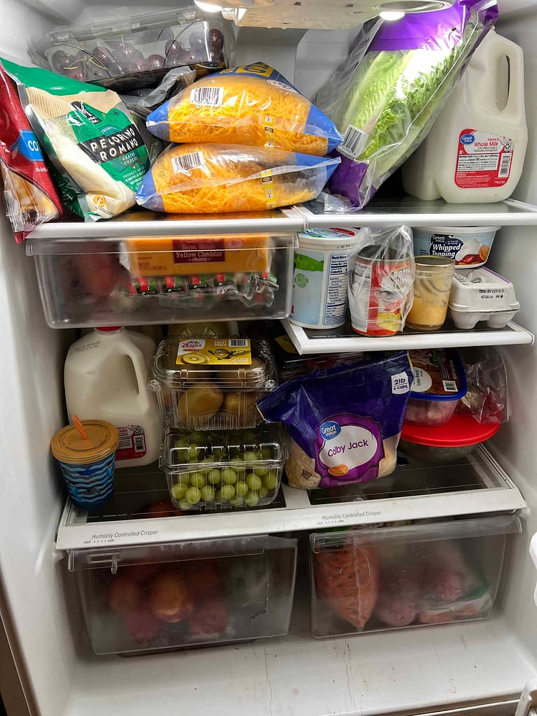 fridge full of food