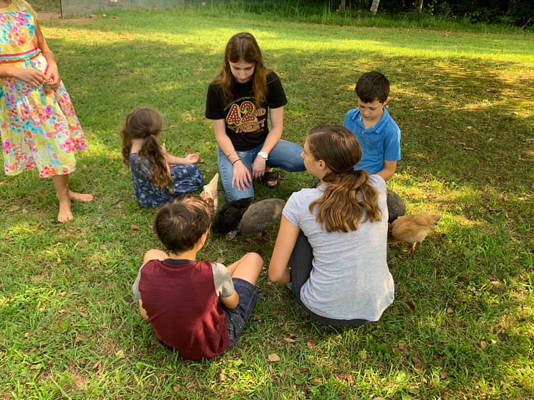 kids sitting in a circle playing with chickens