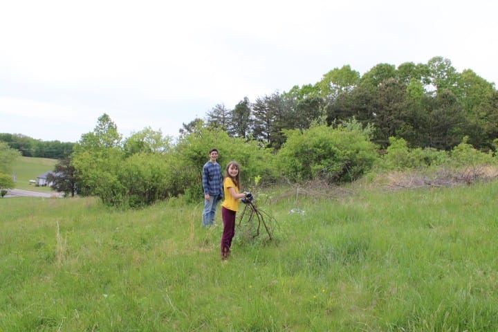brother and sister hauling branches out of a wild blueberry patch
