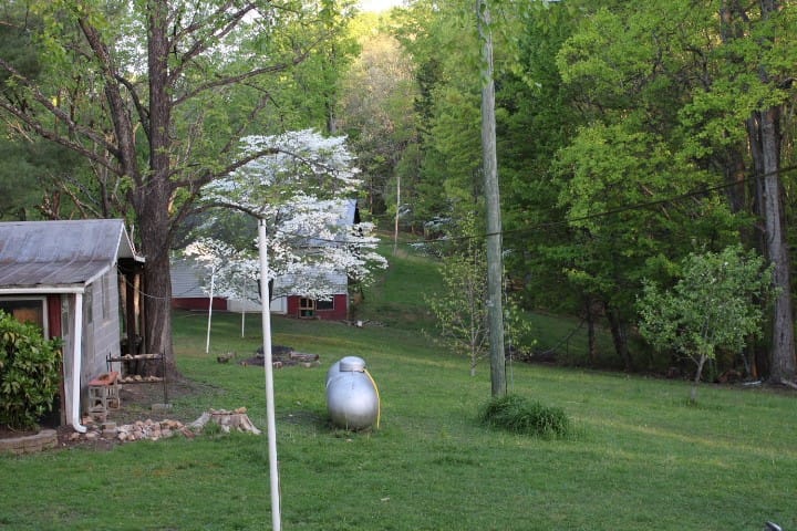 view out the window of a country yard in spring.