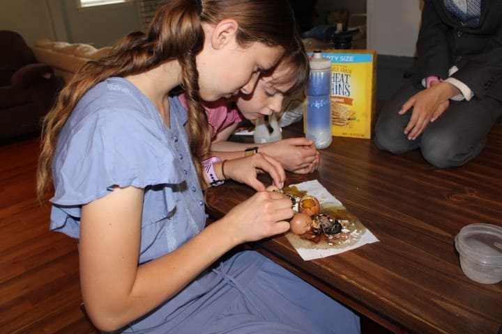 two sisters open eggs to find dead chicks