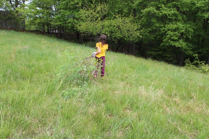 11 year-old girl in yellow shirt hauling branches