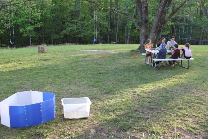 family eating dinner at a picnic table while chicks played in a brooder box nearby.