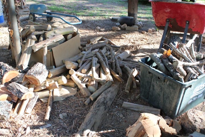 piles of wood scattered around the wood shed