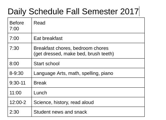 Daily schedule 2017