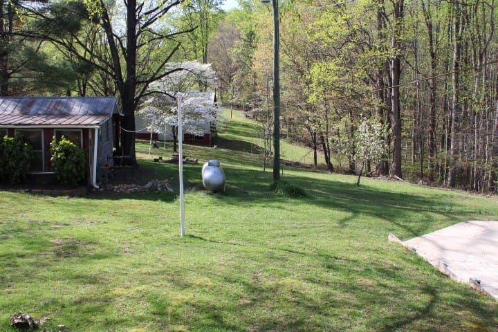 scene out the kitchen window of spring trees and dogwoods