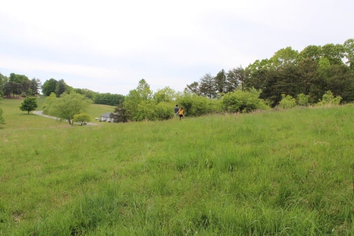 view of pasture and fields beyond in spring in the Blue Ridge Mountains