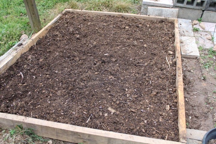 New raised garden bed ready for planting