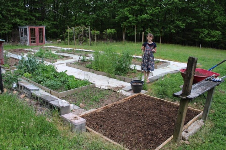 10 raised garden beds in a big garden