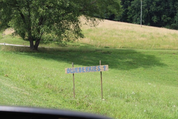 blueberries sign on the side of the road