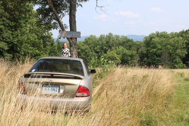 girl standing on top of an old car to put a blueberry sign up