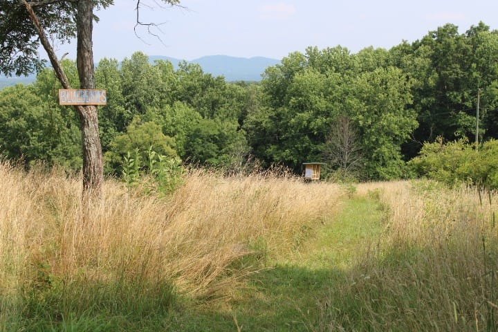 entrance to a blueberry patch