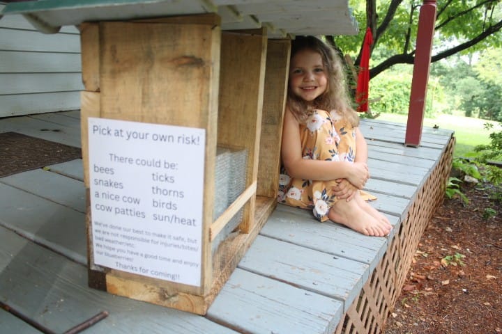 6 year old sits by a blueberry stand box