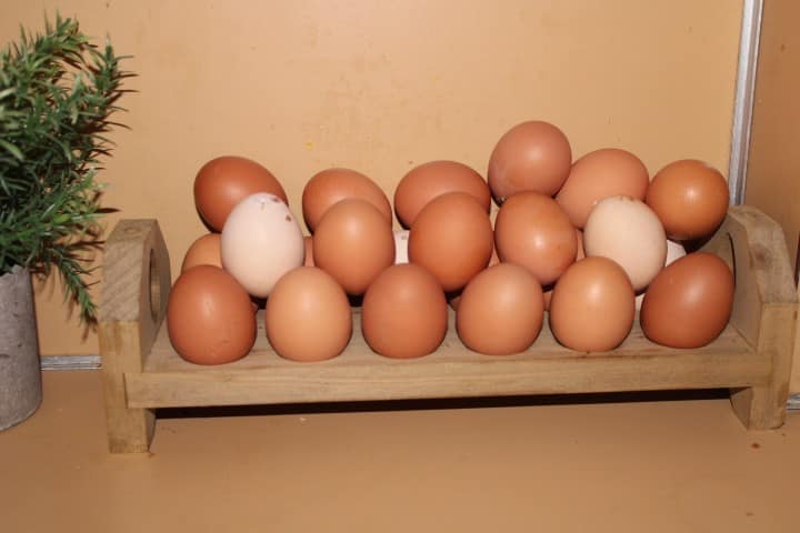 a rack of farm fresh eggs on the counter