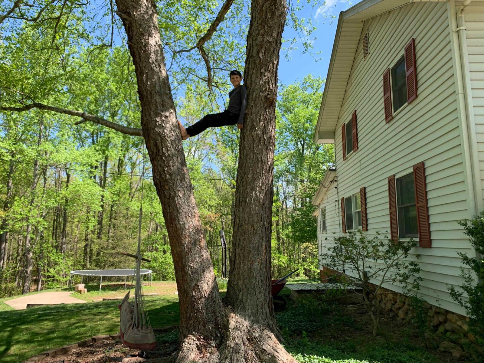 boy sitting in a tree