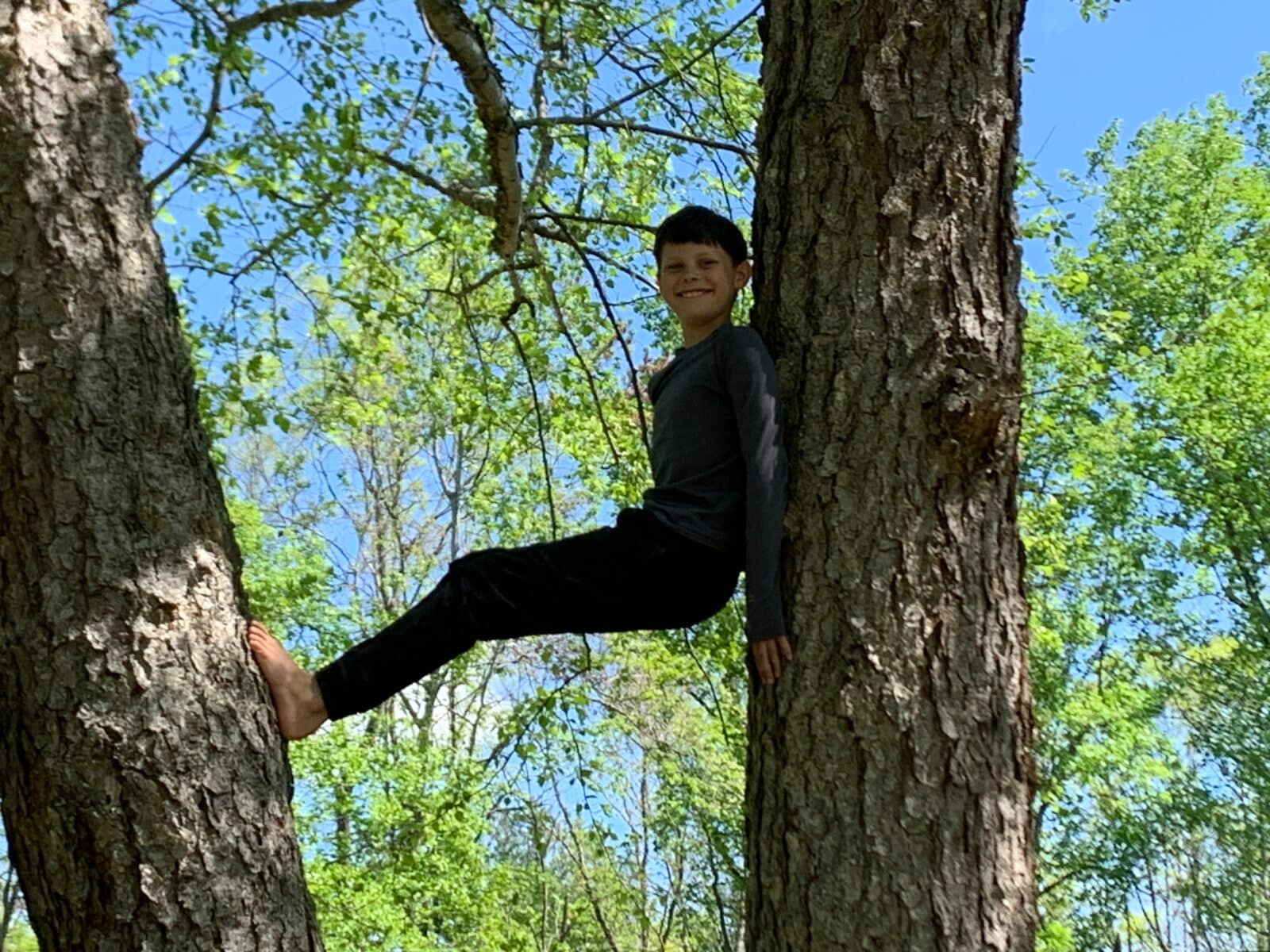 boy sitting in a tree