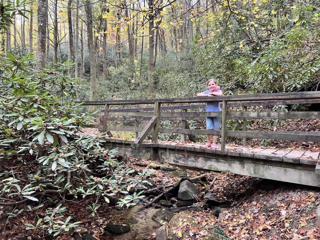 8 year old on bridge on hiking trail